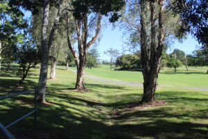A file photo of Victoria Park at Bowen Hills before the earthmovers moved in to clear the landscape. Photo: ANDREW KACIMAIWAI