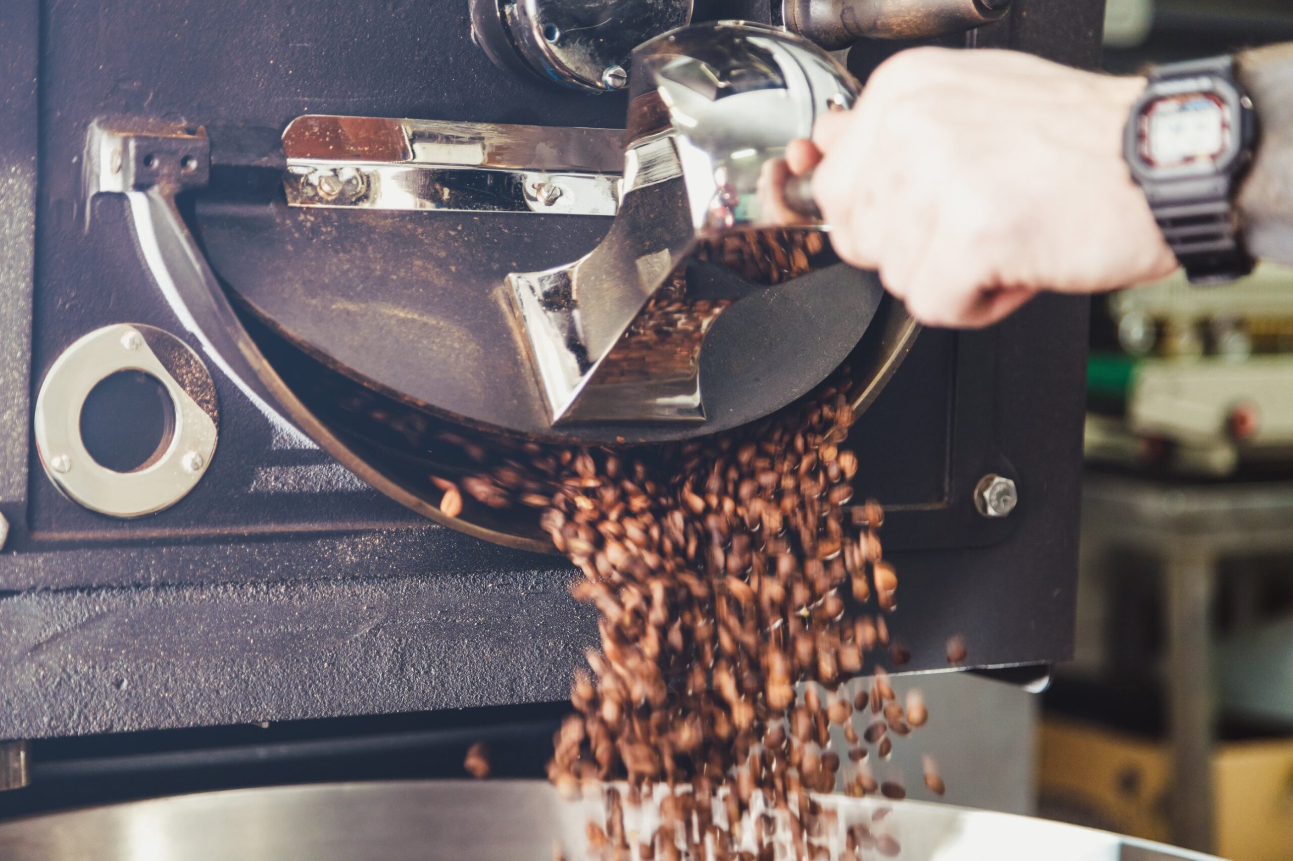 Coffee beans pouring from a roaster, representing Brisbane coffee