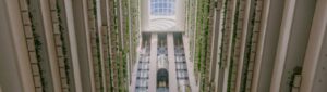 InterContinental Brisbane renovation story: hotel atrium looking up to a glass skylight, with glass lifts and greenery